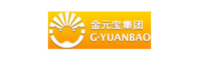 金(jīn)元寶集團